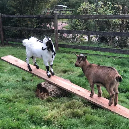Le Champ Des Possibles Nocleg ze śniadaniem 3*
