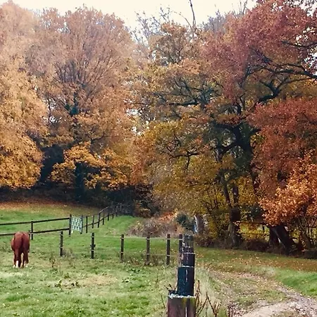 Nocleg ze śniadaniem Le Champ Des Possibles 3*
