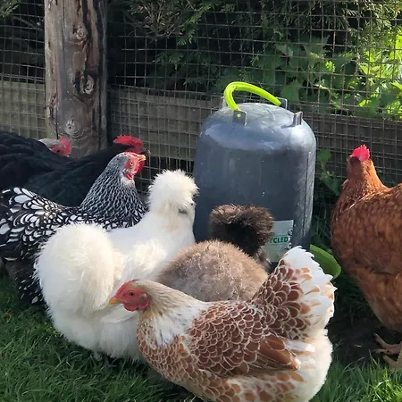 Le Champ Des Possibles 3* Manerbe