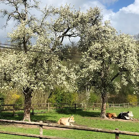 Le Champ Des Possibles