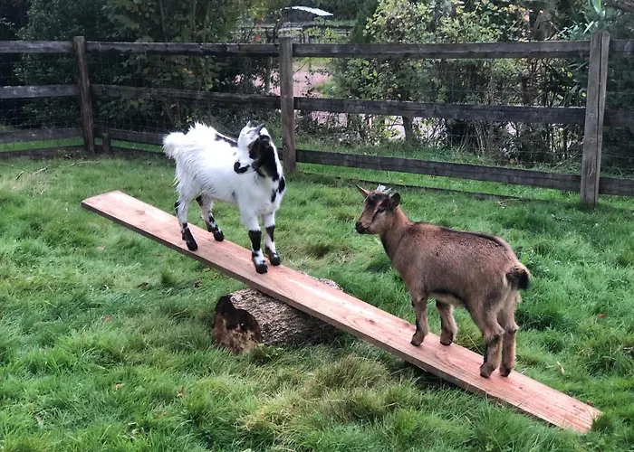 Le Champ Des Possibles Couette-café 3*