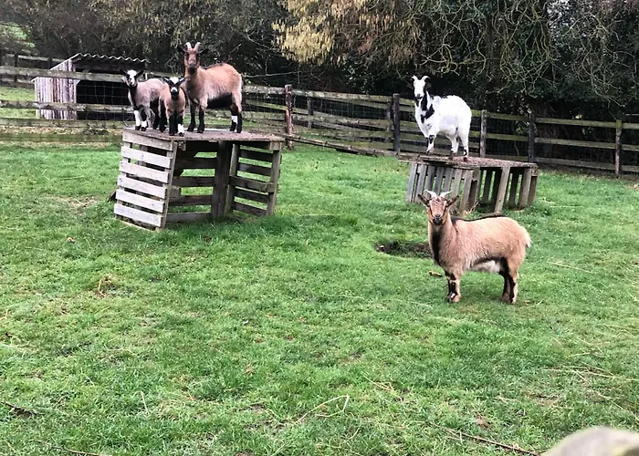 Couette-café Le Champ Des Possibles