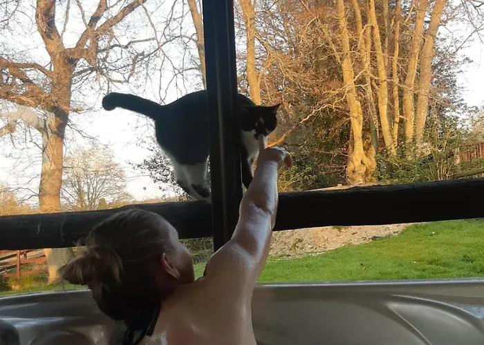 Le Champ Des Possibles 3*