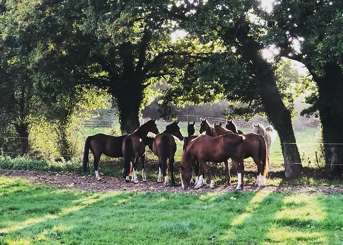 Le Champ Des Possibles 3* Manerbe