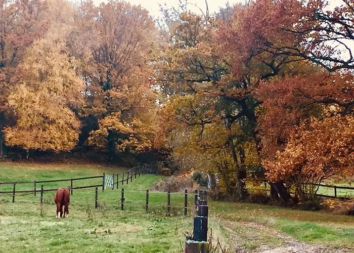 Couette-café Le Champ Des Possibles 3*