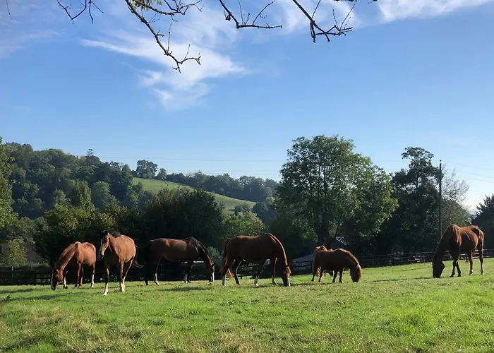 Le Champ Des Possibles Manerbe