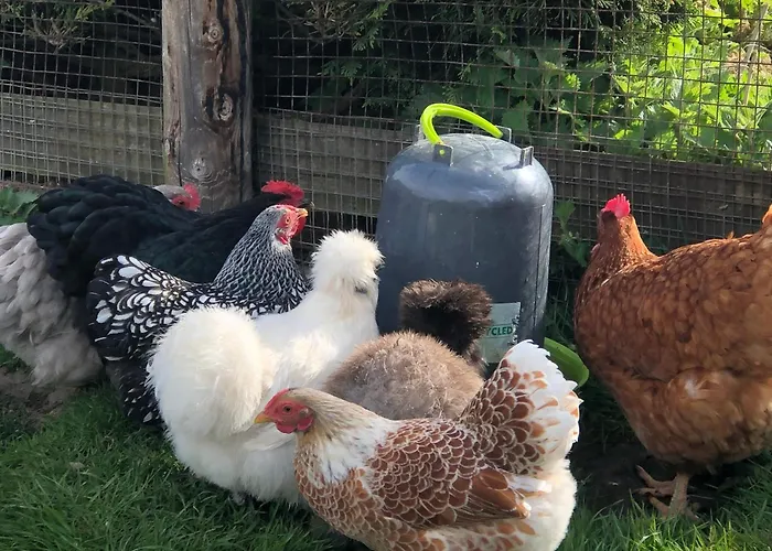 Le Champ Des Possibles 3* Manerbe