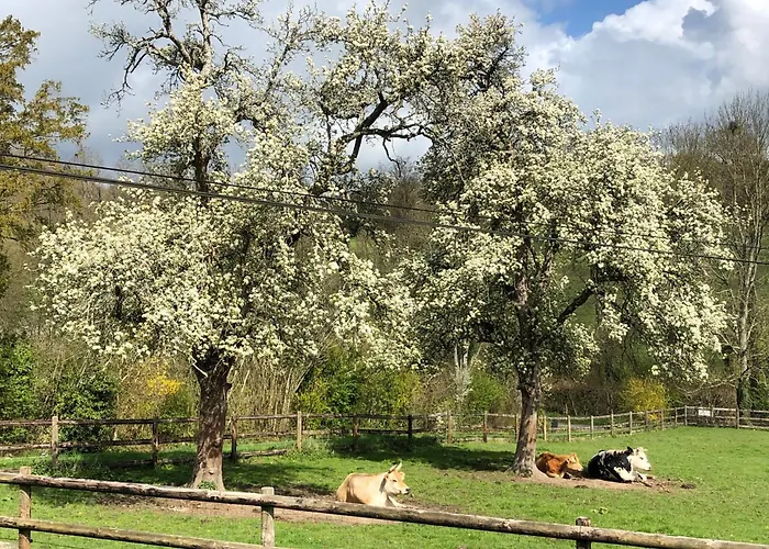 Le Champ Des Possibles