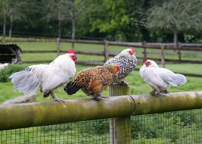 Couette-café Le Champ Des Possibles 3*